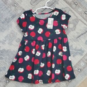 NWT The Children's Place Baby Girl Apple School Dress Sz18-24m